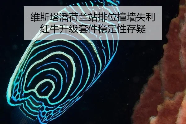 维斯塔潘荷兰站排位撞墙失利 红牛升级套件稳定性存疑